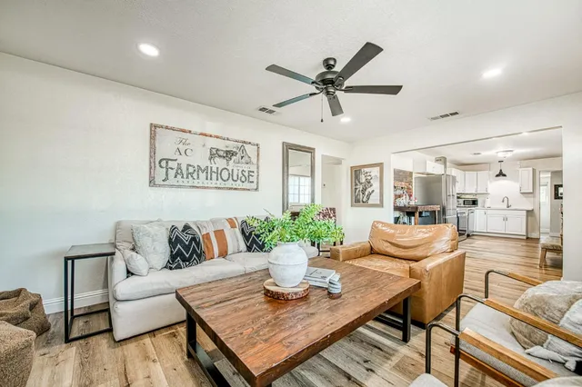 a living room with furniture and a potted plant