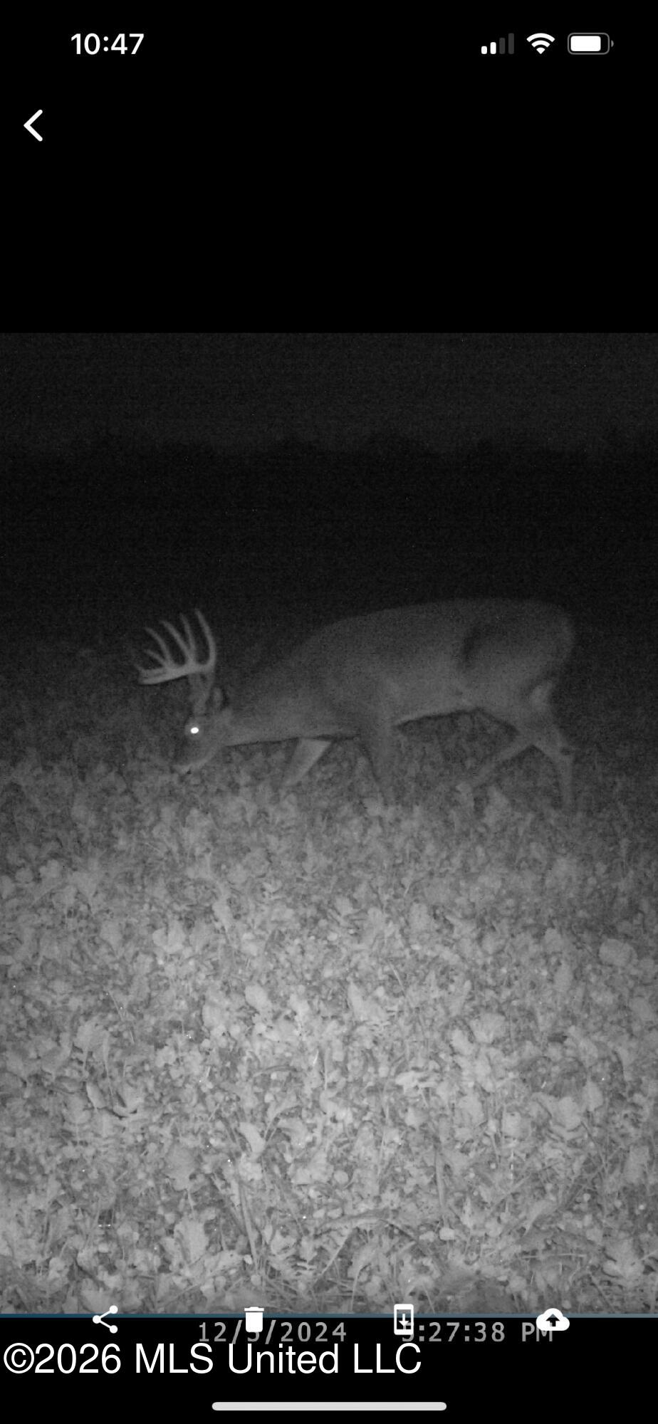901 Sharon Road Canton, MS 39046 - Photo 86 of 87 IMG_4811_edited