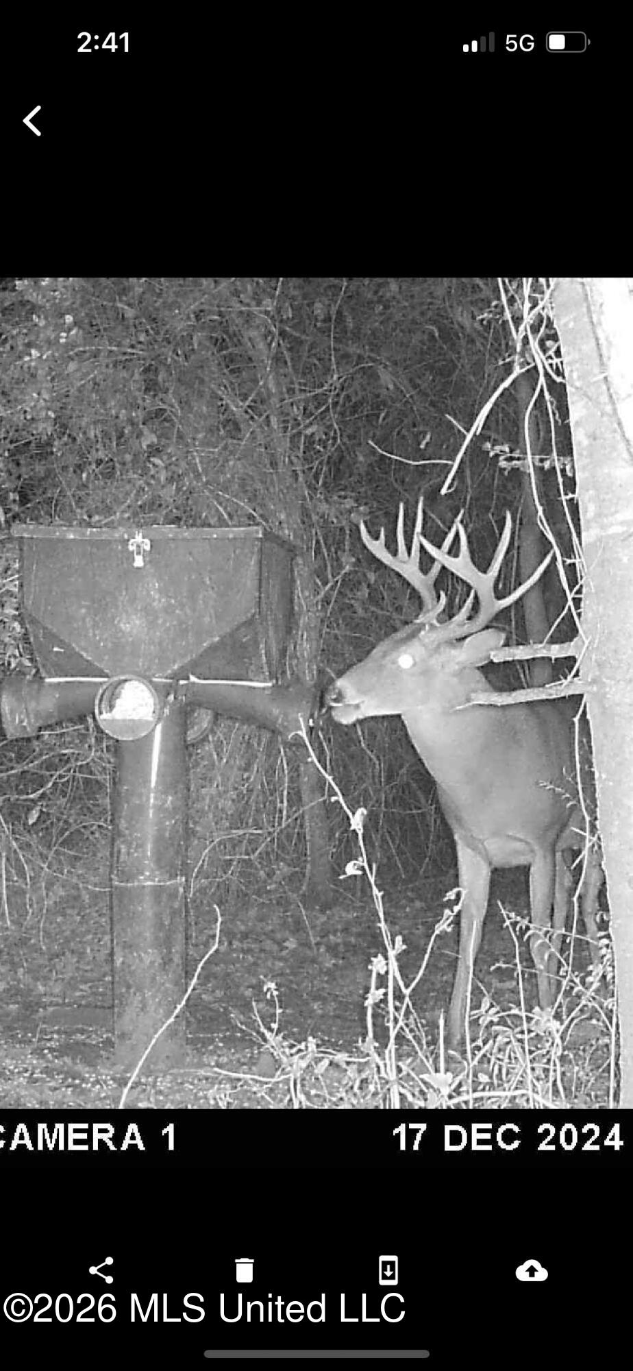 901 Sharon Road Canton, MS 39046 - Photo 87 of 87 IMG_4907_edited