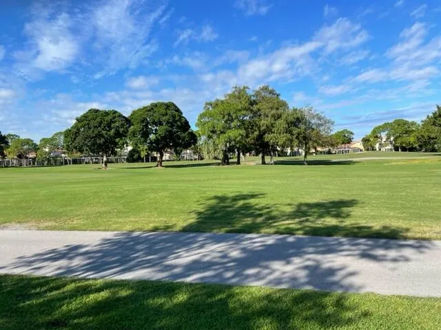 a view of a big yard with plants and large trees