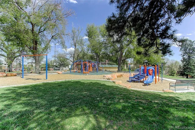 a view of field with tall trees