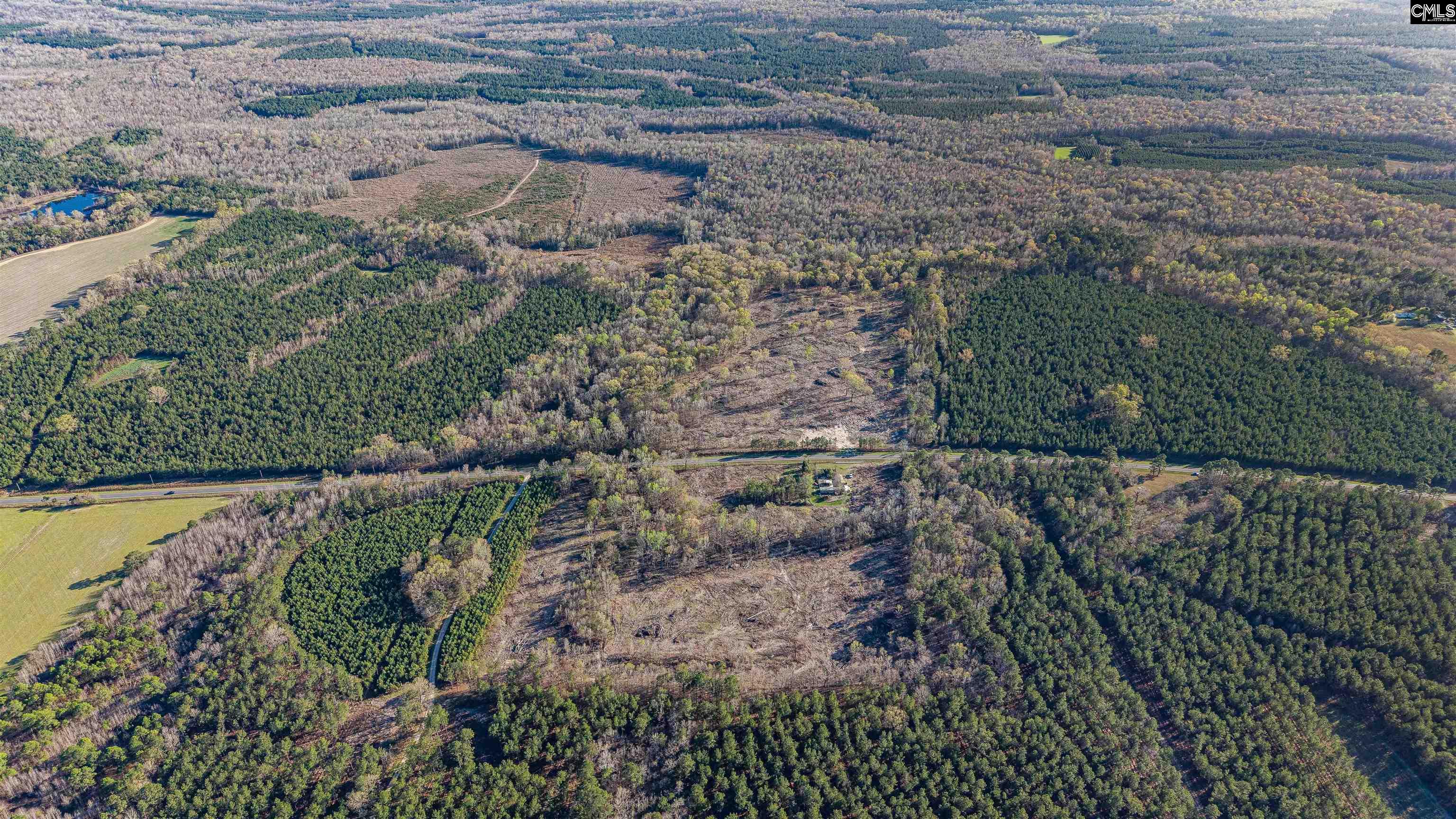 1856 River Road Greeleyville, SC 29056 - Photo 27 of 31