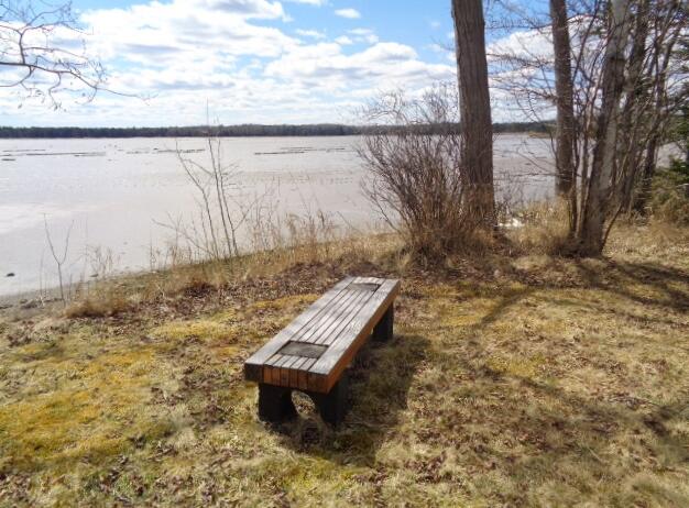 247 Rays Point Road Milbridge, ME 04658 - Photo 39 of 40 DSC05230