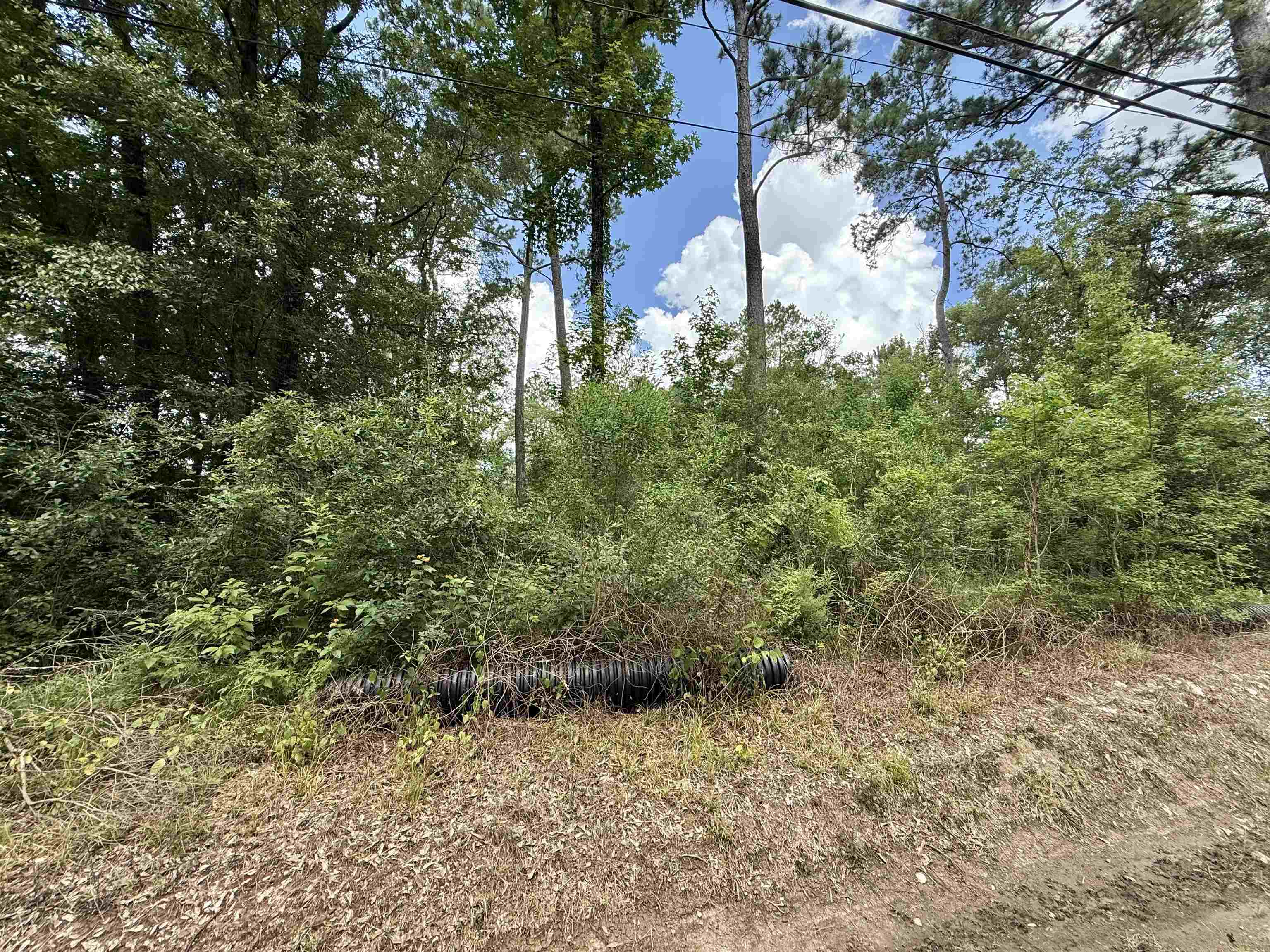 1030 Butler Road Vidor, TX 77662 - Photo 1 of 5