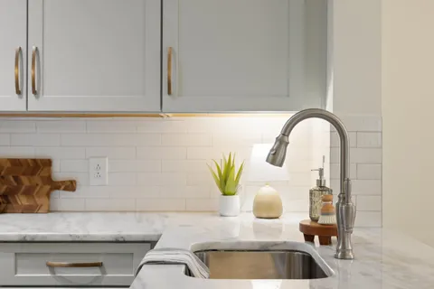 a kitchen with a sink and a potted plant on it