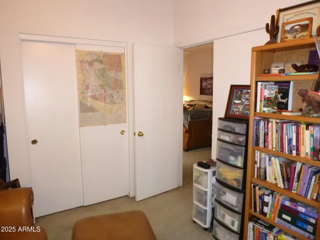a view of a livingroom with furniture and closet