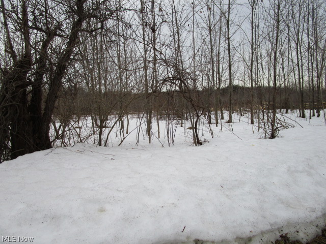 0 Moseley Road Thompson, OH 44086 - Photo 13 of 19