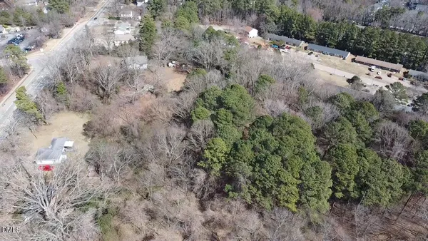 a view of a forest with a tree