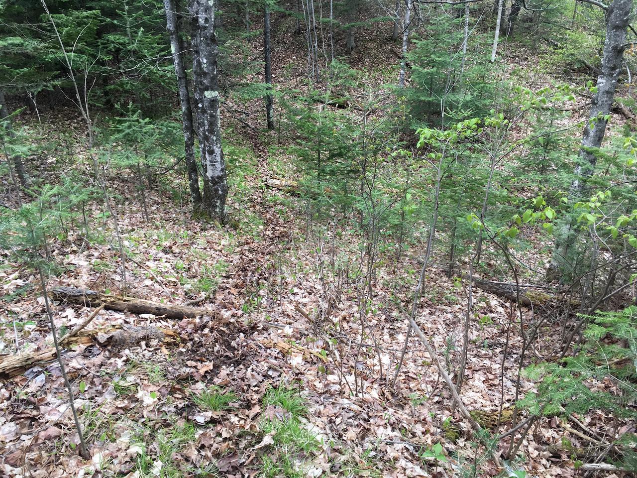 On Nicolet Hls Road Long Lake, WI 54542 - Photo 16 of 22 Gallery Image 16