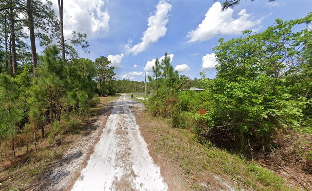 147 Roebuck Road Georgetown, FL 32139 - Photo 9 of 12 a view of a pathway both side of yard