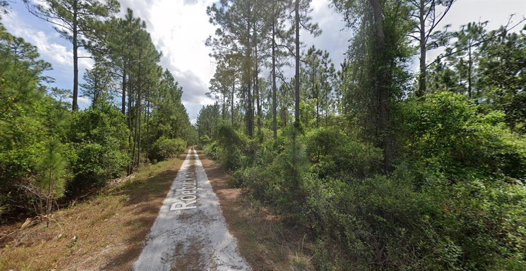 147 Roebuck Road Georgetown, FL 32139 - Photo 10 of 12 a view of a pathway both side of yard