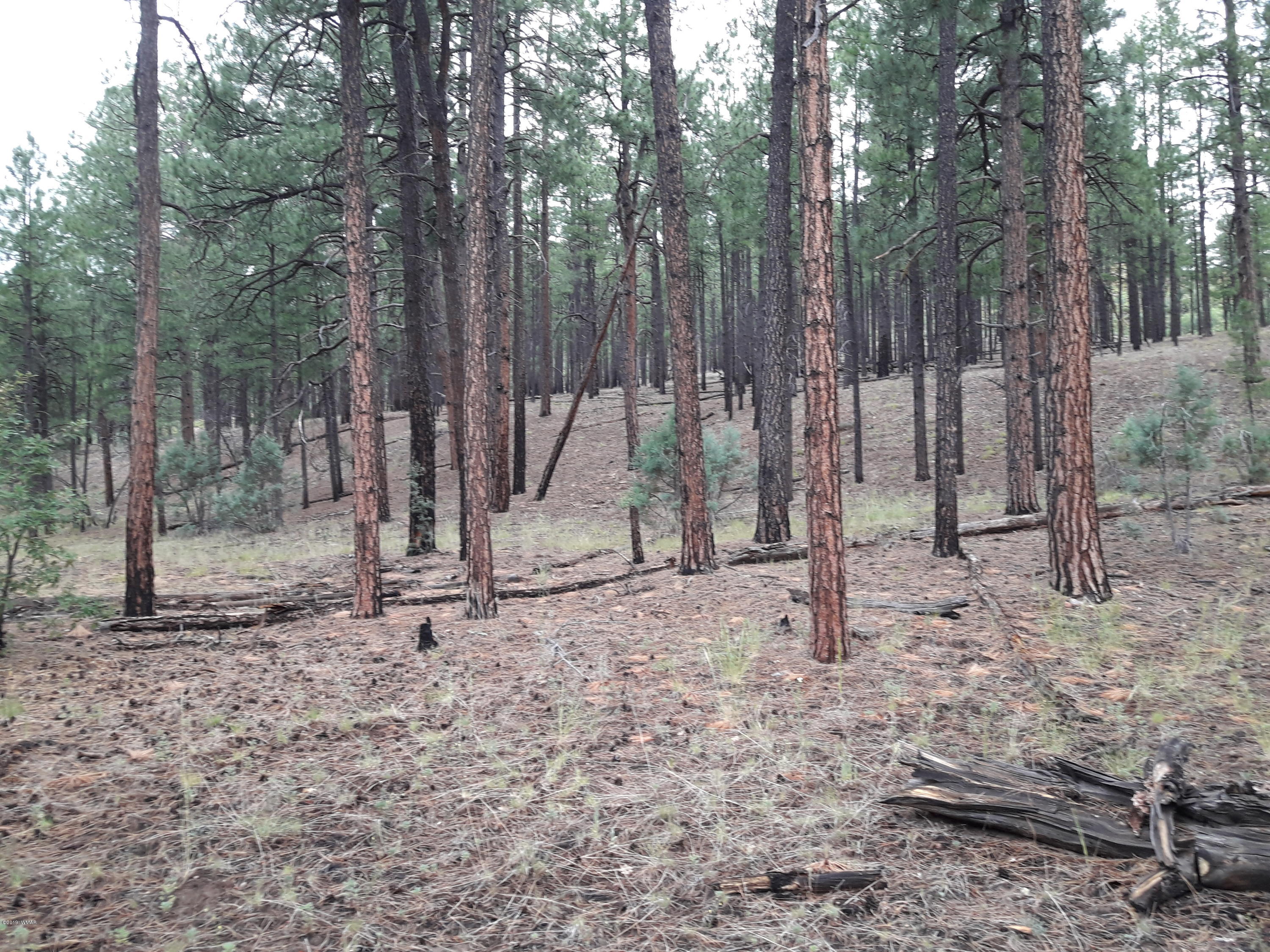 3978 Forest Service Road 161 Overgaard, AZ 85933 - Photo 3 of 3