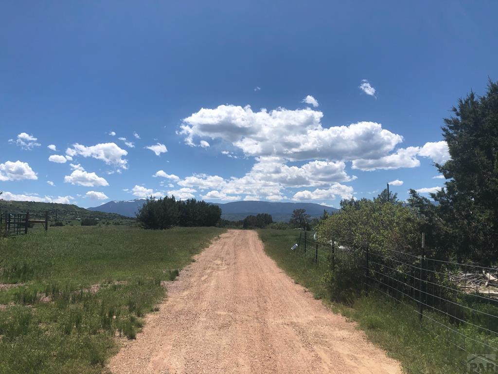 6905 South Burnt Mill Road Beulah, CO 81023 - Photo 35 of 38