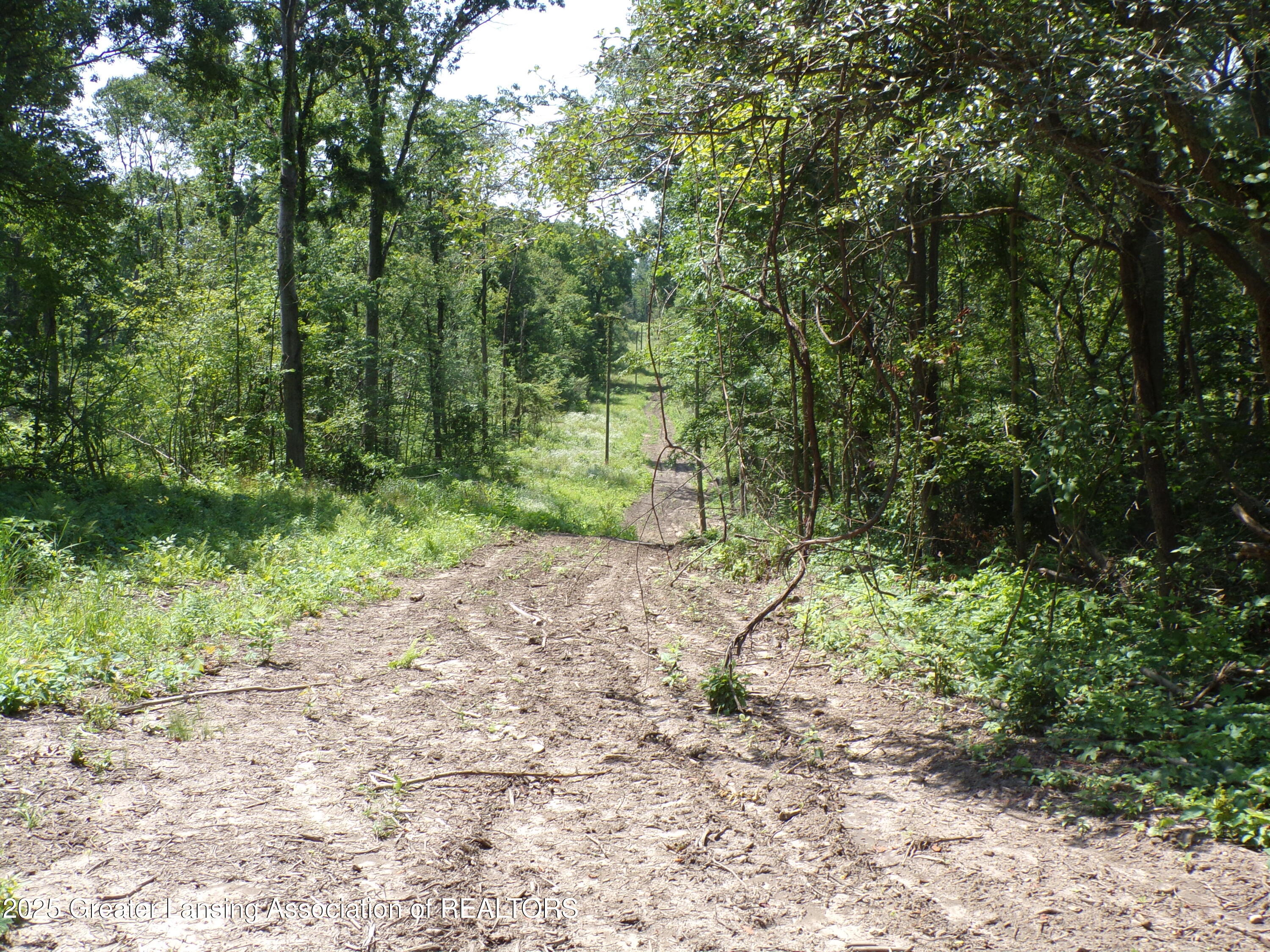 0 South Lacey Lake Road Bellevue, MI 49021 - Photo 7 of 12 101_0617