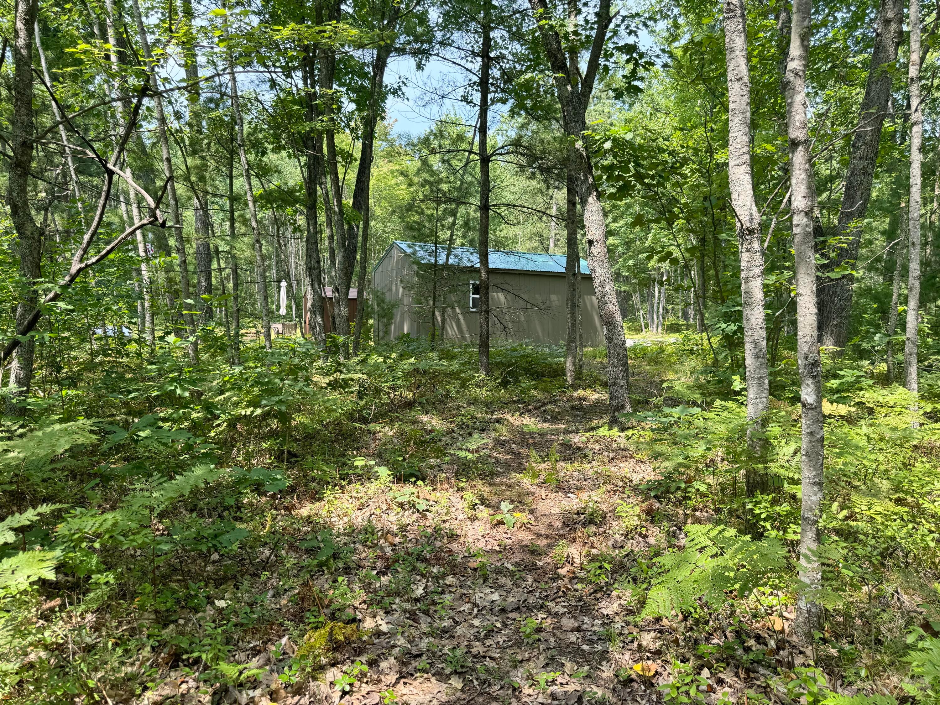 5313 West Miller Road Lewiston, MI 49756 - Photo 8 of 25 Gallery Image 8