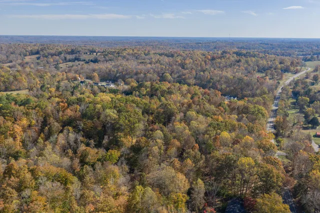 an aerial view of forest