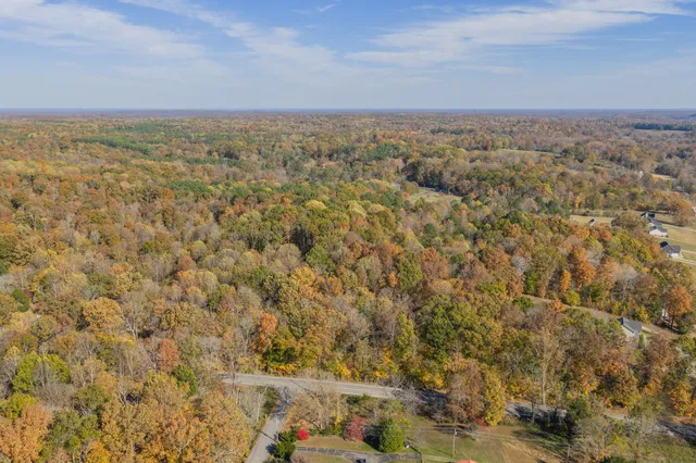 a view of city and mountain