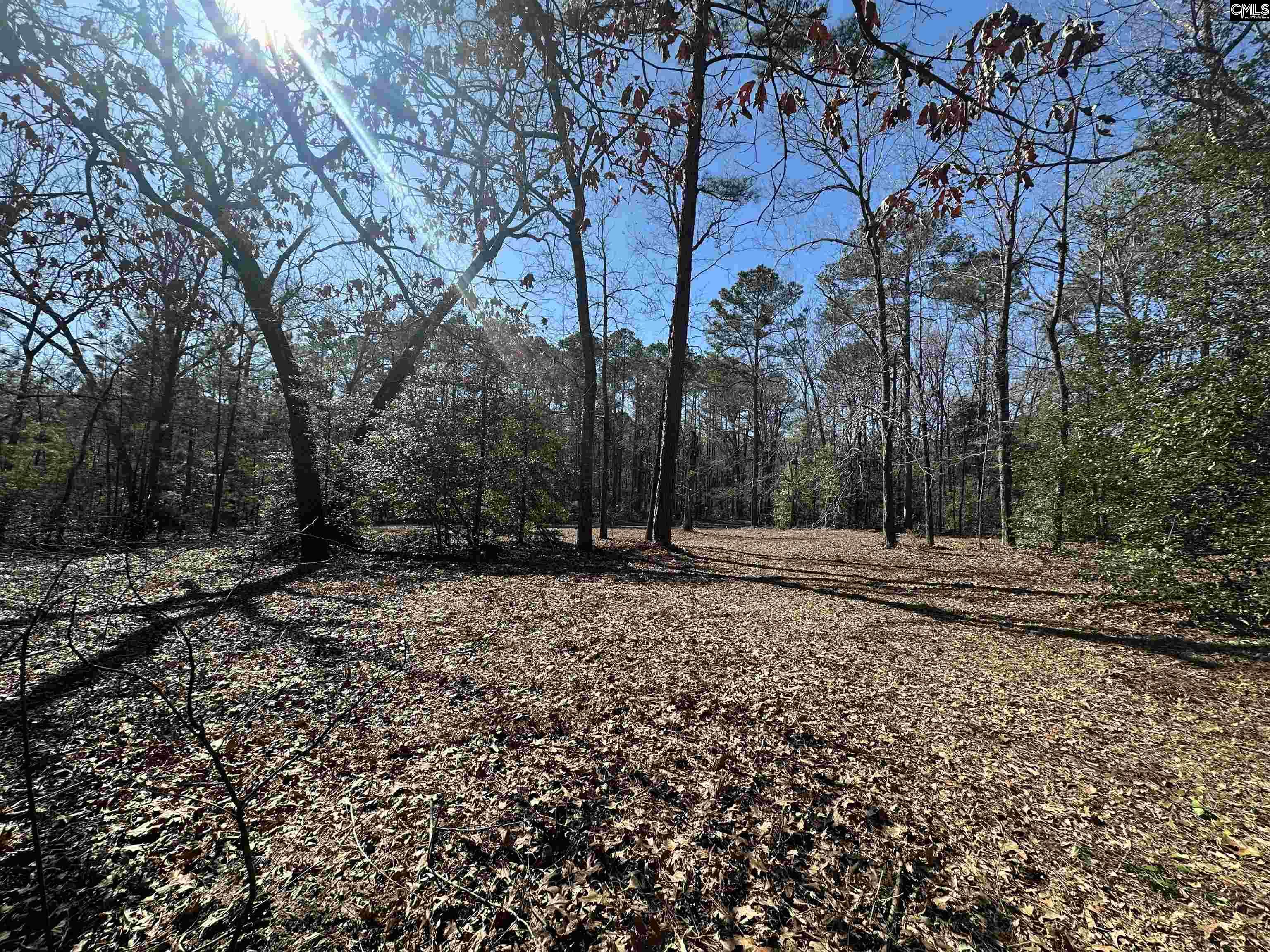 622 Juniper Springs Road Gilbert, SC 29054 - Photo 2 of 10