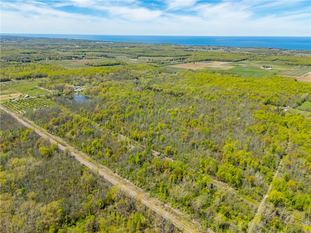 0 Pratt Road Webster, NY 14580 - Photo 7 of 15 Timber/Woods/Trails/Wildlife
