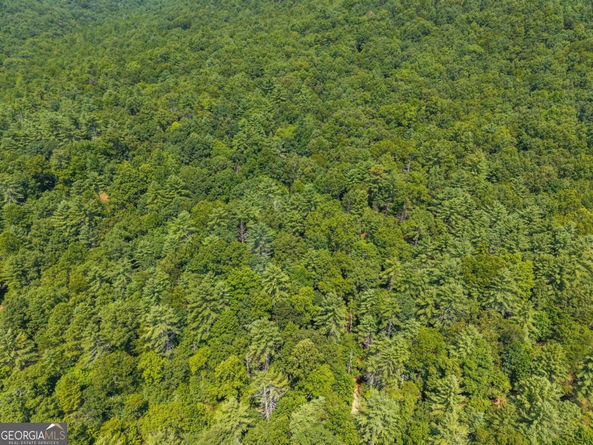 2 A Stevens Ridge Road Ellijay, GA 30540 - Photo 24 of 34 Gallery Image 24