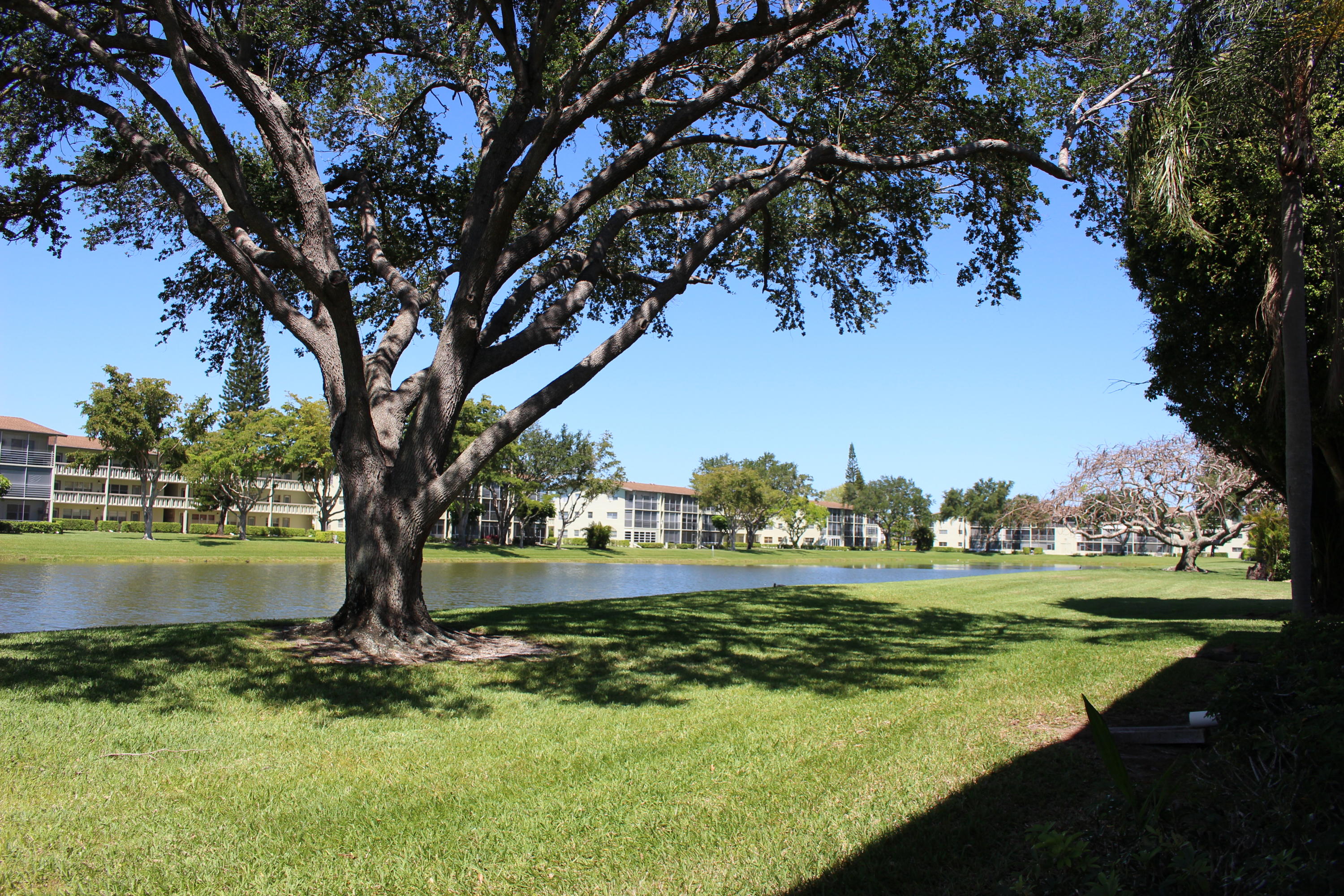 92 Dorset C Boca Raton, FL 33434 - Photo 20 of 28 IMG_9612