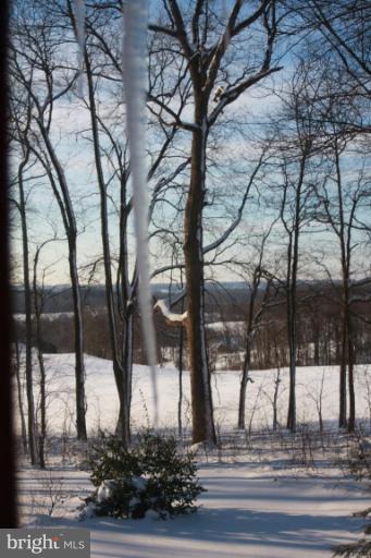 1711 Scott Road Pylesville, MD 21132 - Photo 3 of 30 Wooded View / Acreage