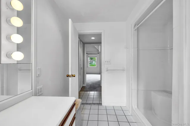 a bathroom with a sink and toilet