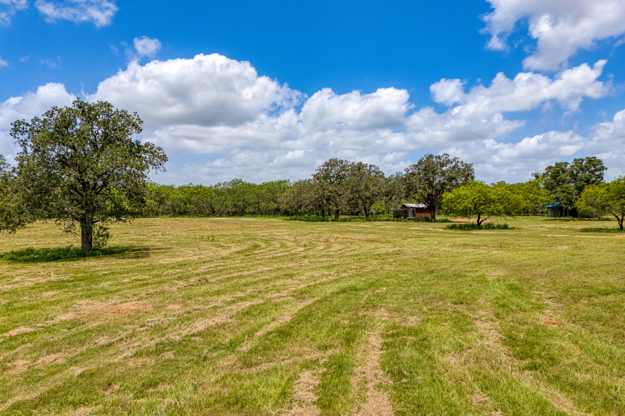 3291 Washburn Road Luling, TX 78648 - Photo 5 of 17 a view of a lake view