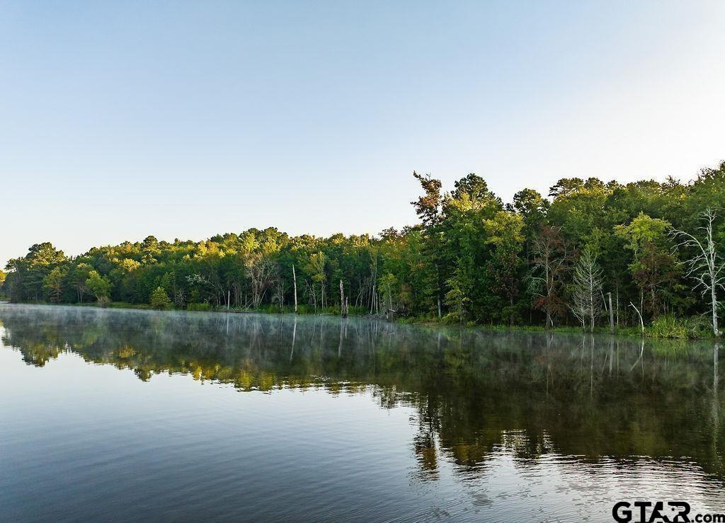 Lot 33-u-2 Lot 33-u-2 Island View Drive Tyler, TX 75708 - Photo 4 of 5 a view of a lake