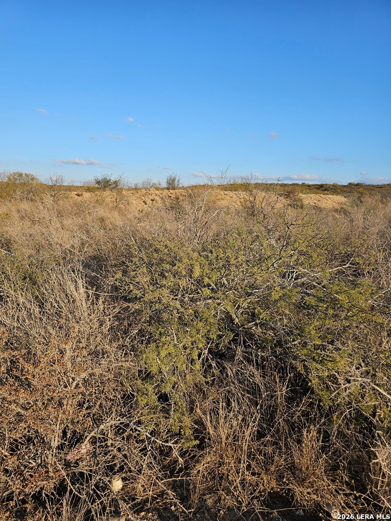 3350 Rosita Valley Road Eagle Pass, TX 78852 - Photo 6 of 6