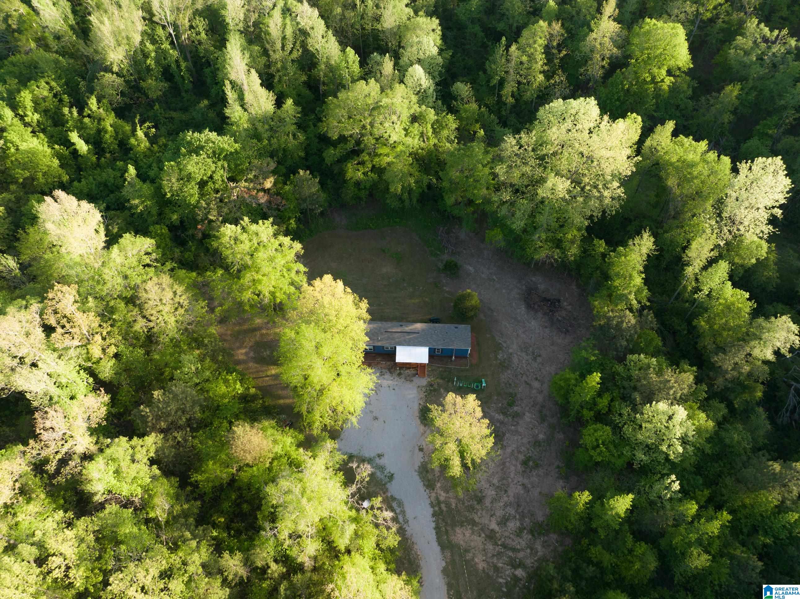 314 County Road 111 Montevallo, AL 35115 - Photo 4 of 52