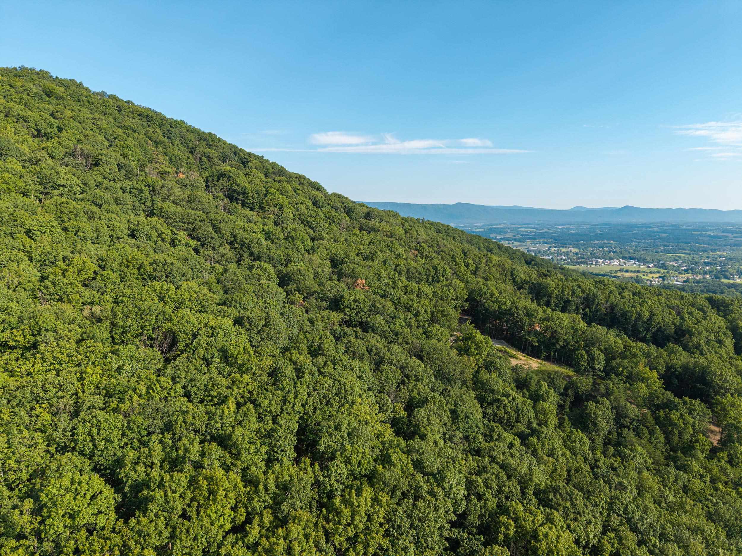 0 Roundhead Mountain Road Stanley, VA 22851 - Photo 4 of 43 Gallery Image 4