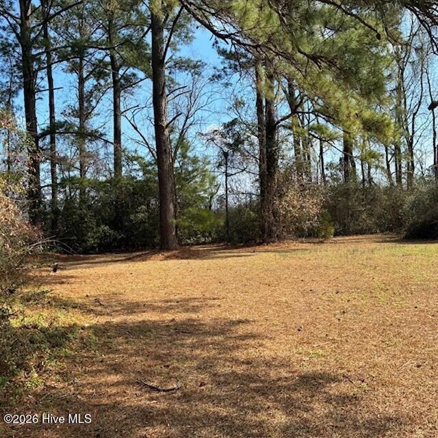 376 Governors Road Southeast Winnabow, NC 28479 - Photo 44 of 44 g376.44