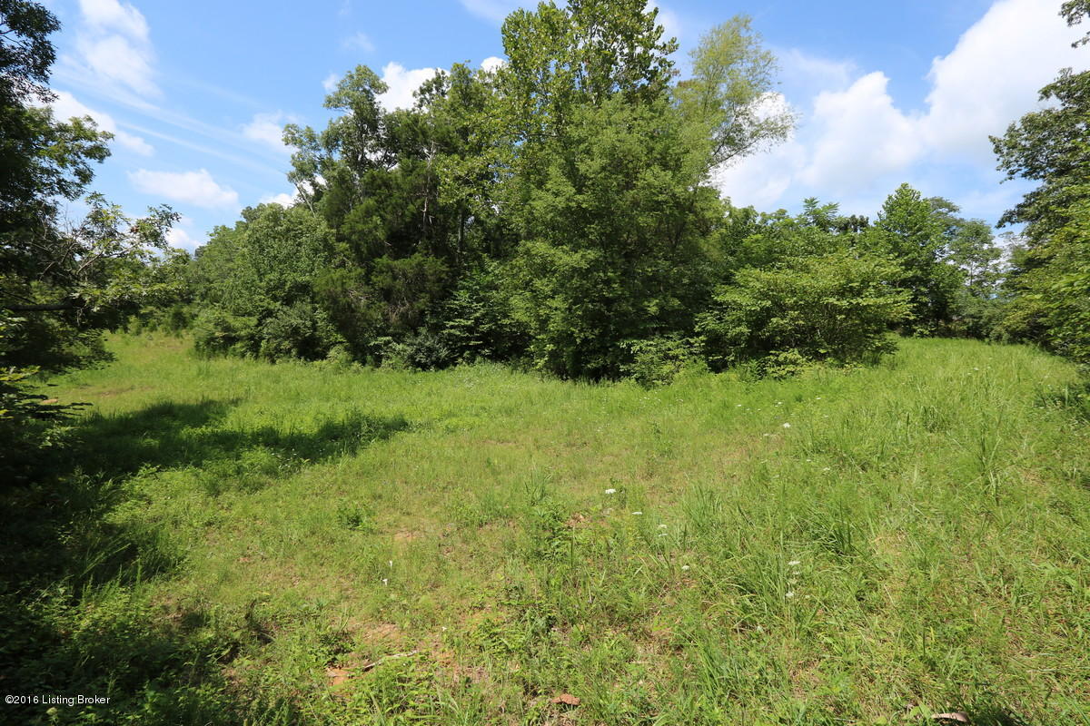 800 Mercer Bend Road Leitchfield, KY 42754 - Photo 11 of 16 800Mercer18