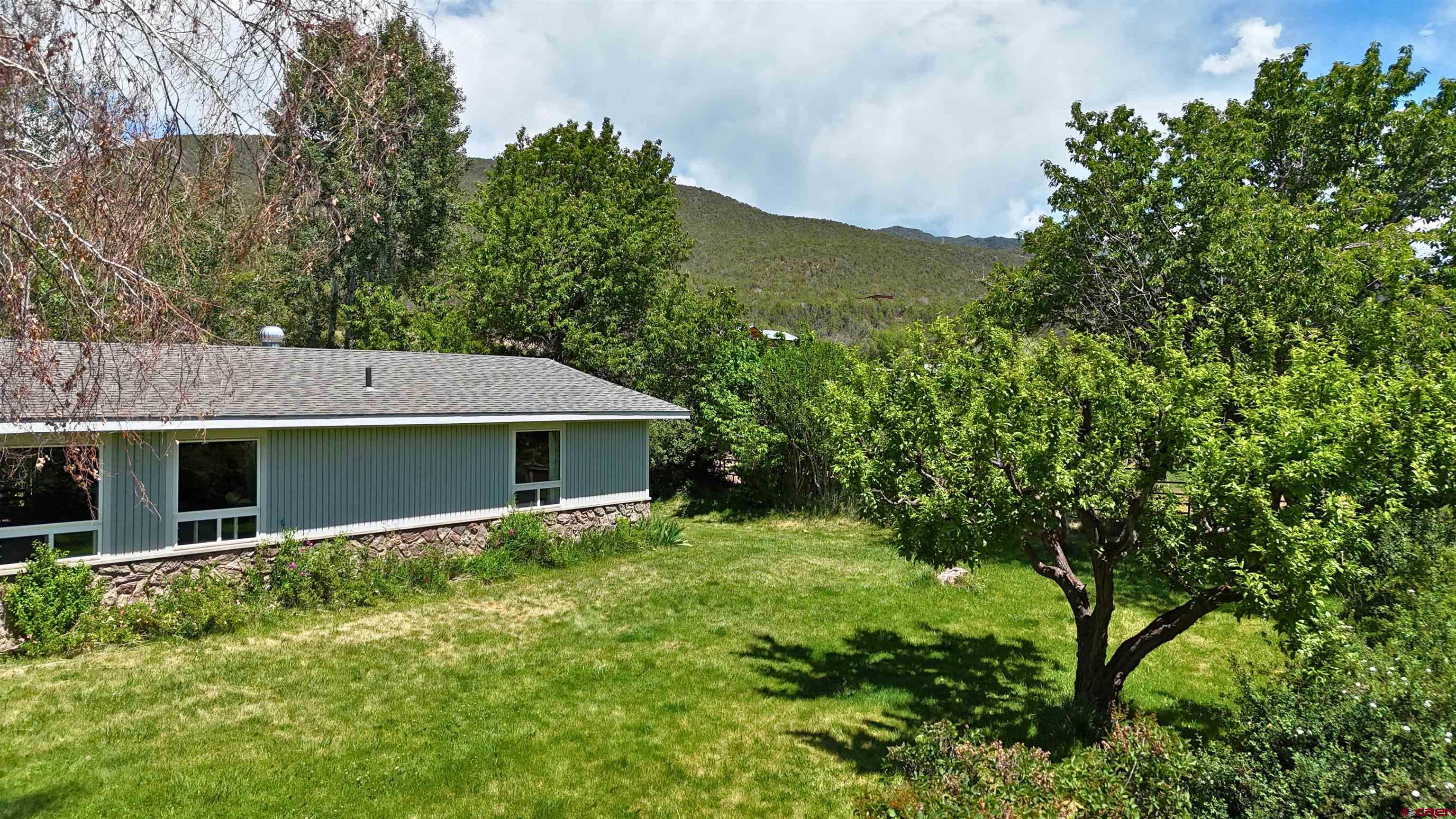 39389 Pitkin Road Paonia, CO 81428 - Photo 3 of 34