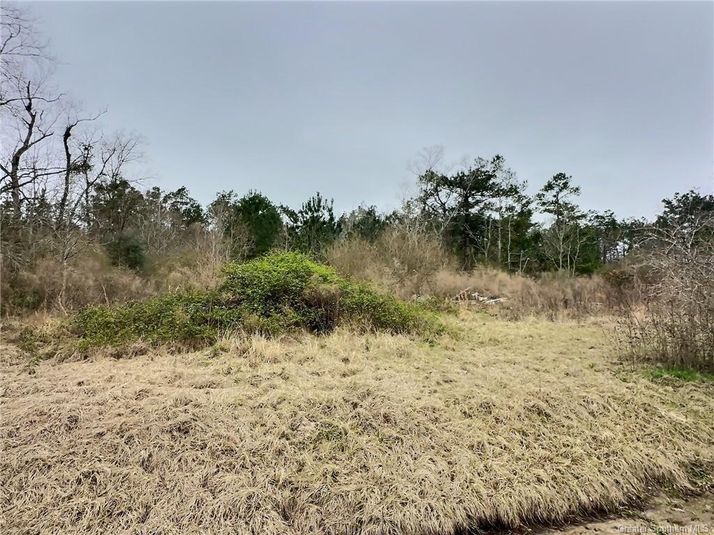 151 Sarah Lane Ragley, LA 70657 - Photo 2 of 3