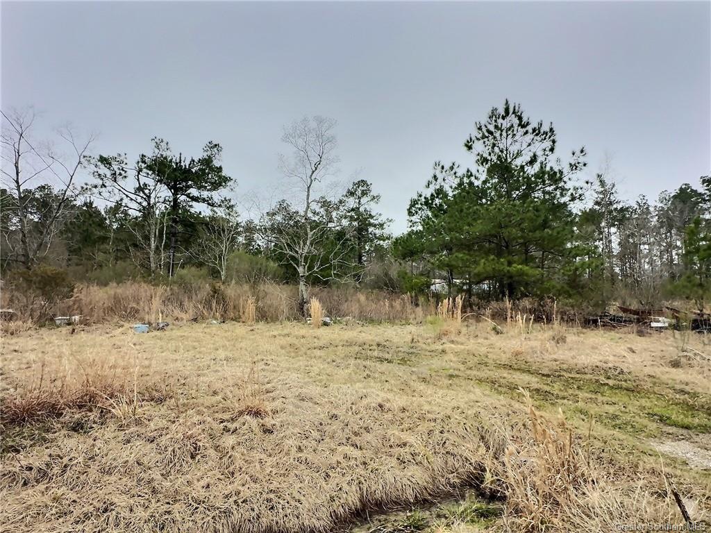 151 Sarah Lane Ragley, LA 70657 - Photo 3 of 3