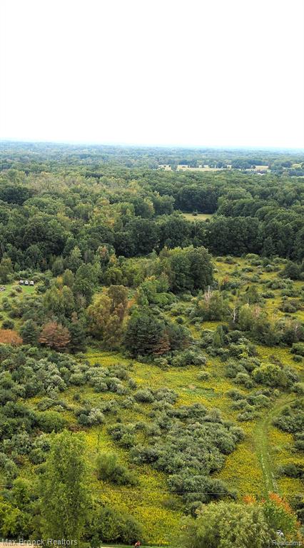 0 Hunters Creek Road Attica, MI 48412 - Photo 11 of 12