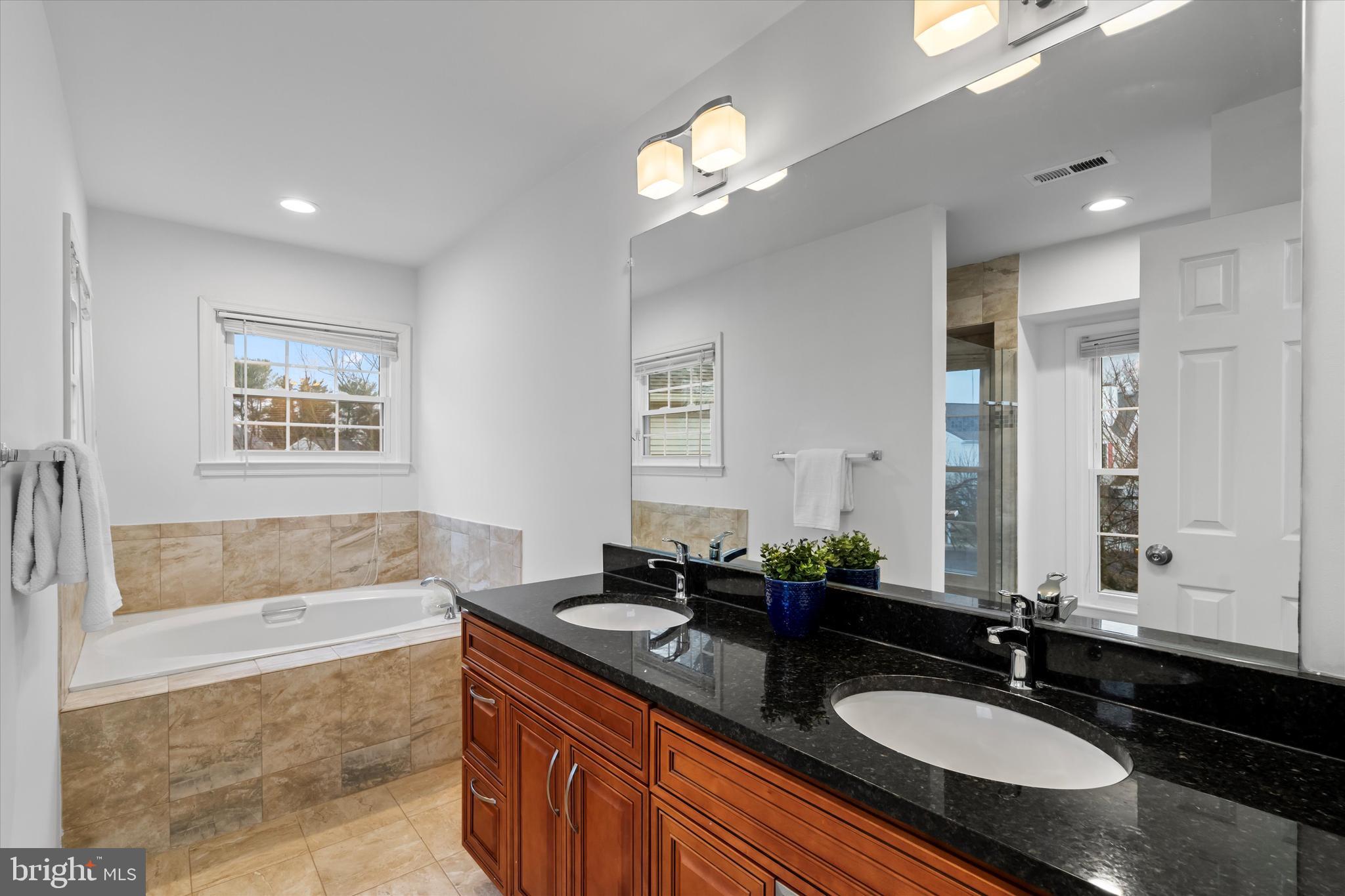 14810 Cherry Leaf Terrace Silver Spring, MD 20906 - Photo 16 of 35 a bathroom with a granite countertop tub sink and mirror