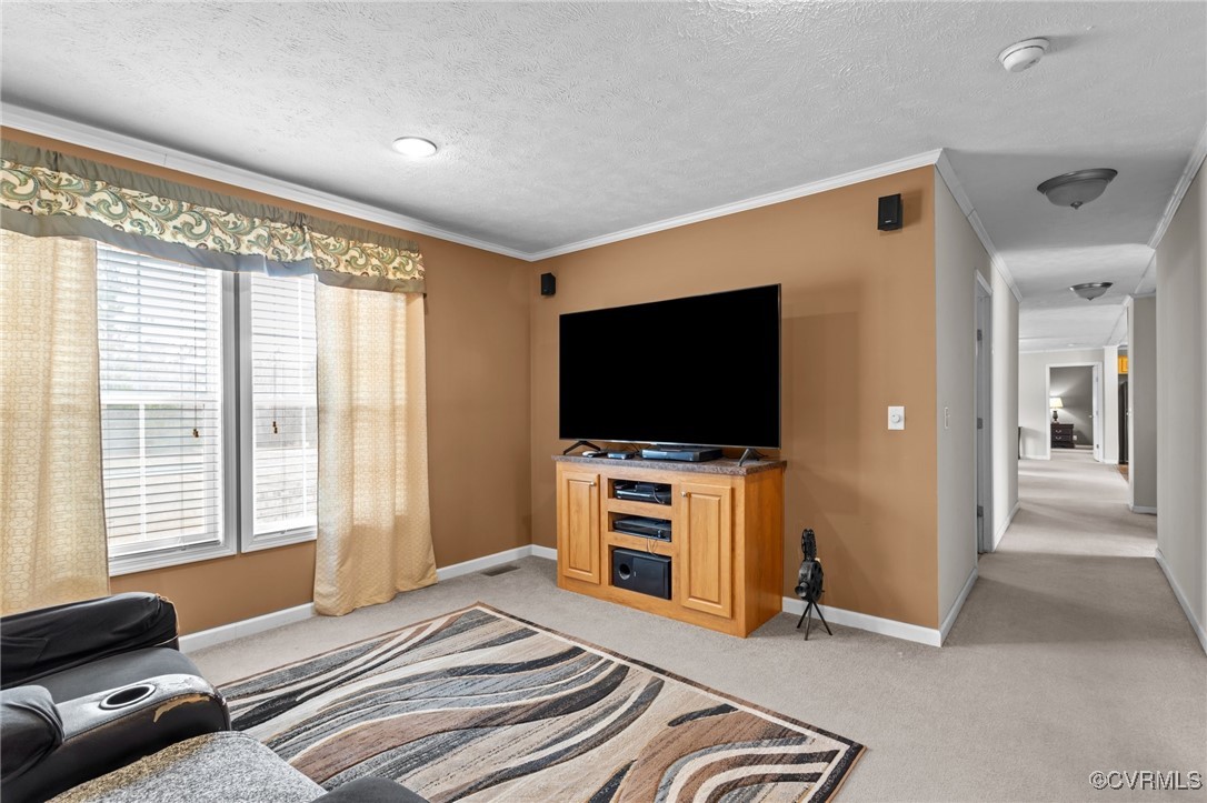 10715 Courthouse Road Dinwiddie, VA 23841 - Photo 26 of 41 Gallery Image 26