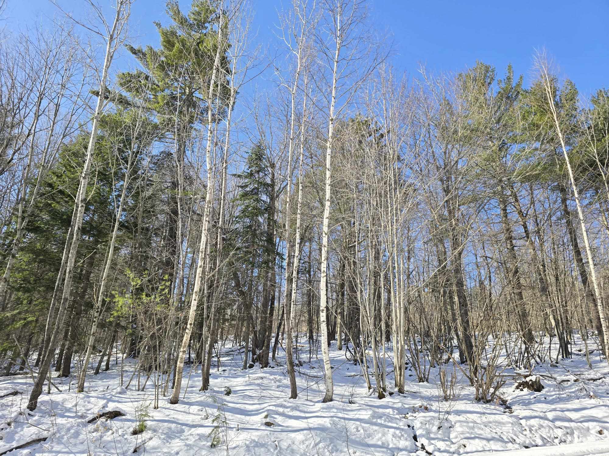 0 Fessenden Hill Road, Unit 10145 Denmark, ME 04022 - Photo 5 of 6
