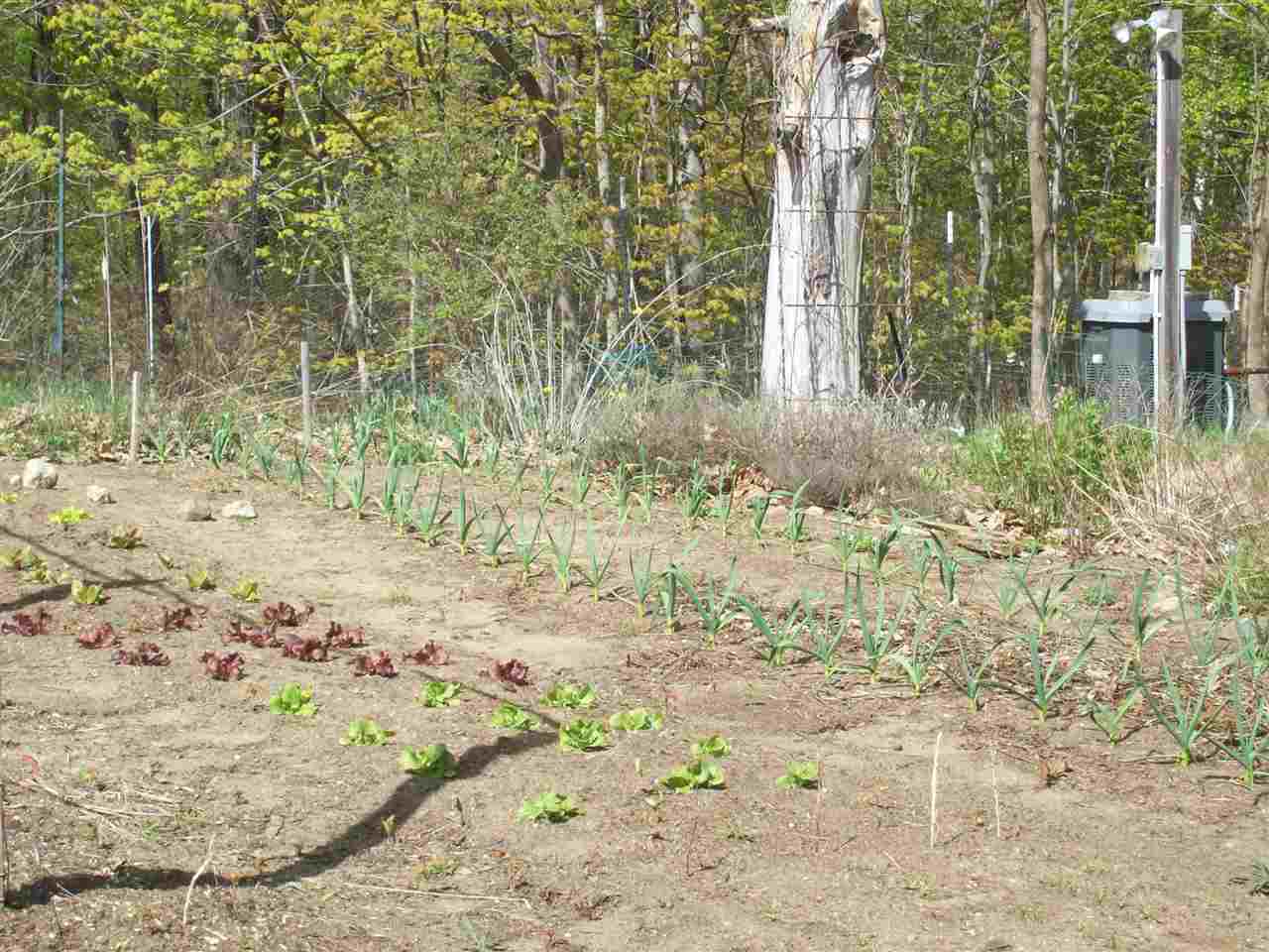 1536 Parker Road Vershire, VT 05079 - Photo 22 of 22