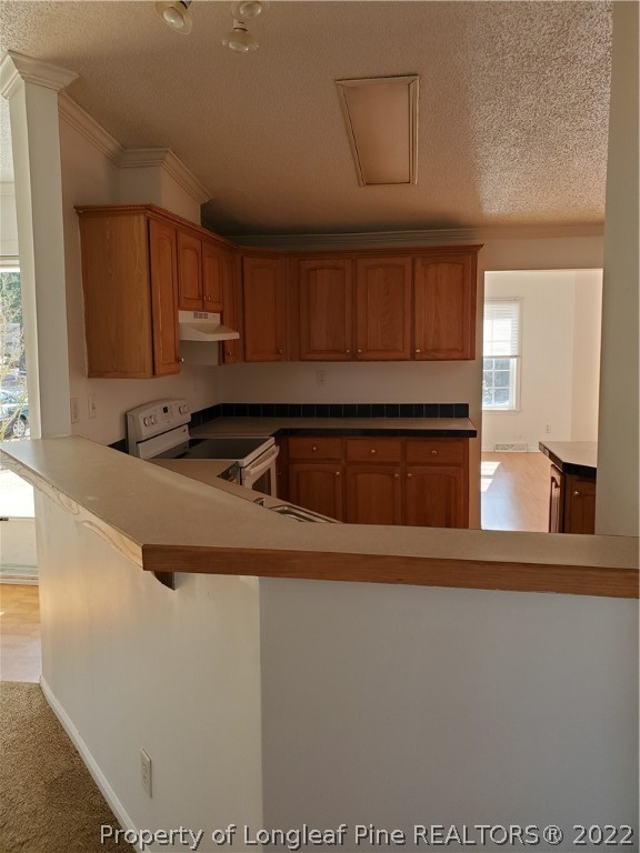 320 Ridge View Drive Cameron, NC 28326 - Photo 3 of 27 a kitchen with a sink and cabinets