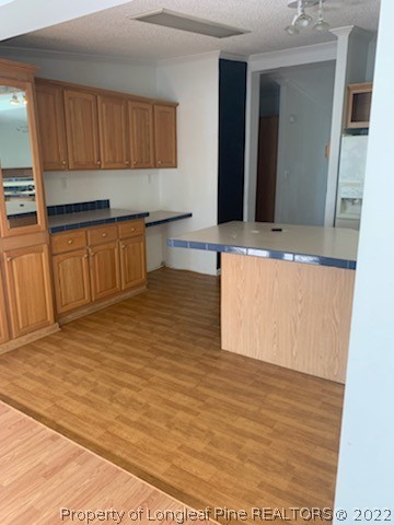 320 Ridge View Drive Cameron, NC 28326 - Photo 5 of 27 a view of kitchen with cabinets