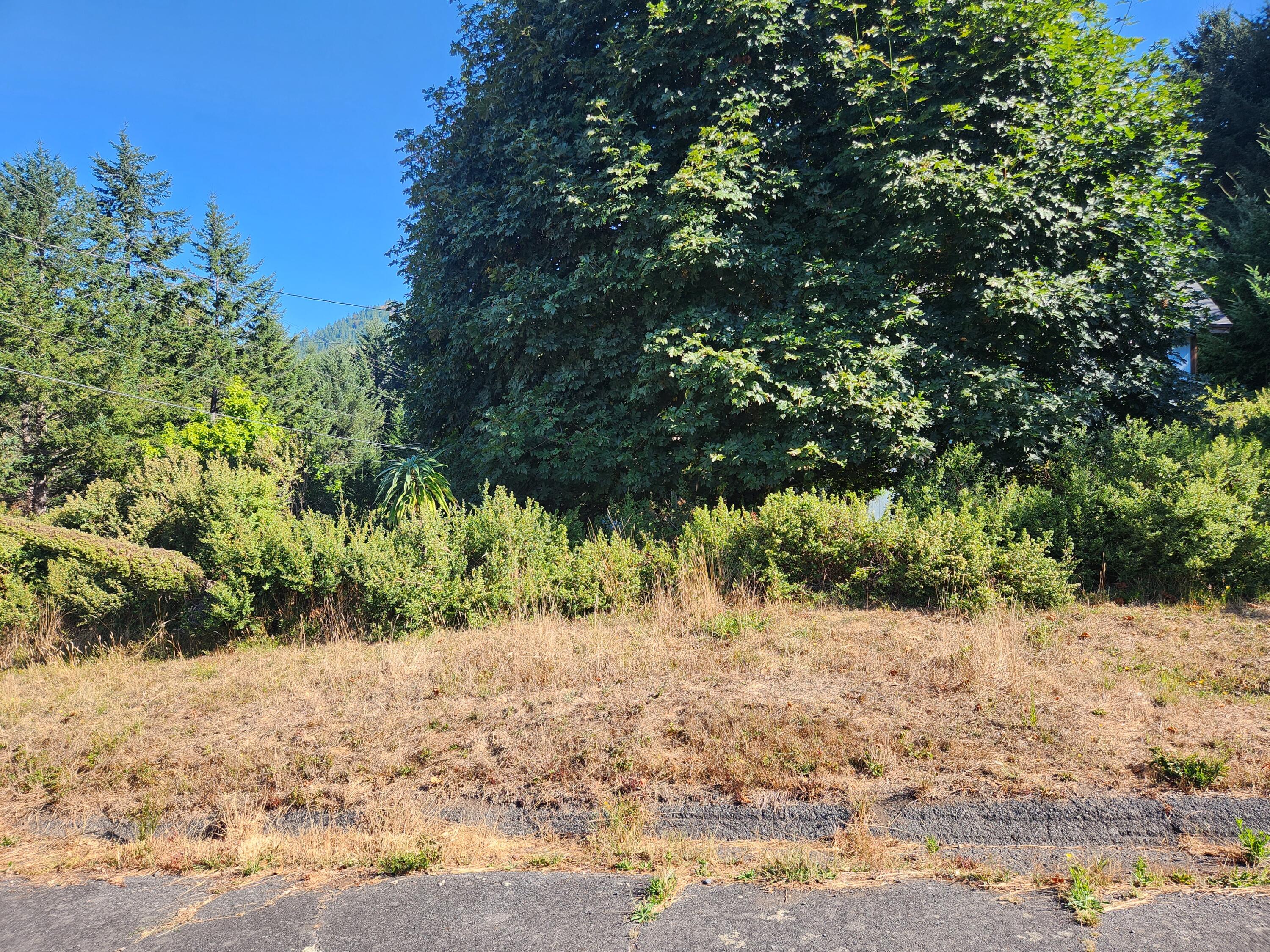 167 Spring Road Whitethorn, CA 95589 - Photo 6 of 9