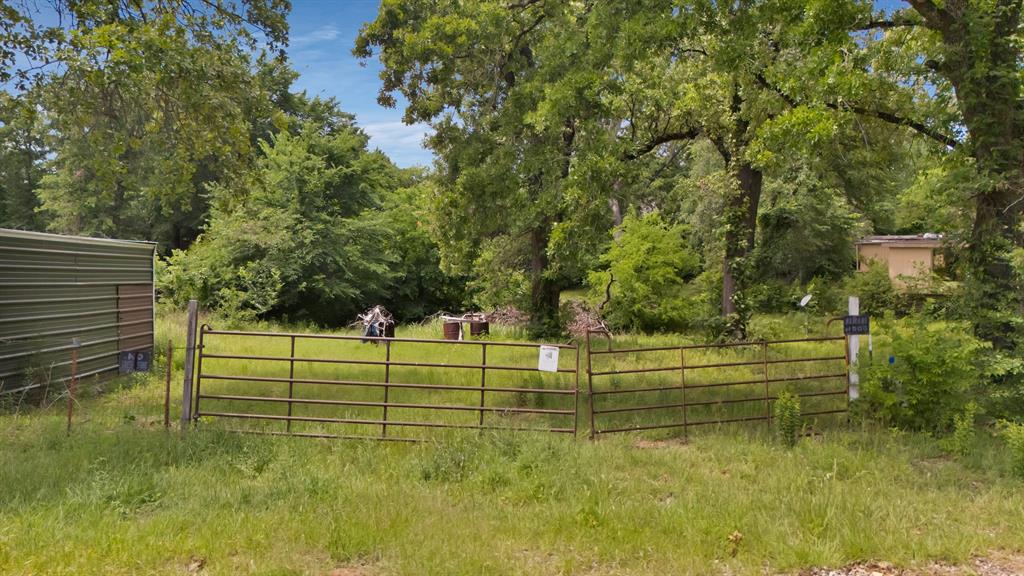 a view of a park with large trees
