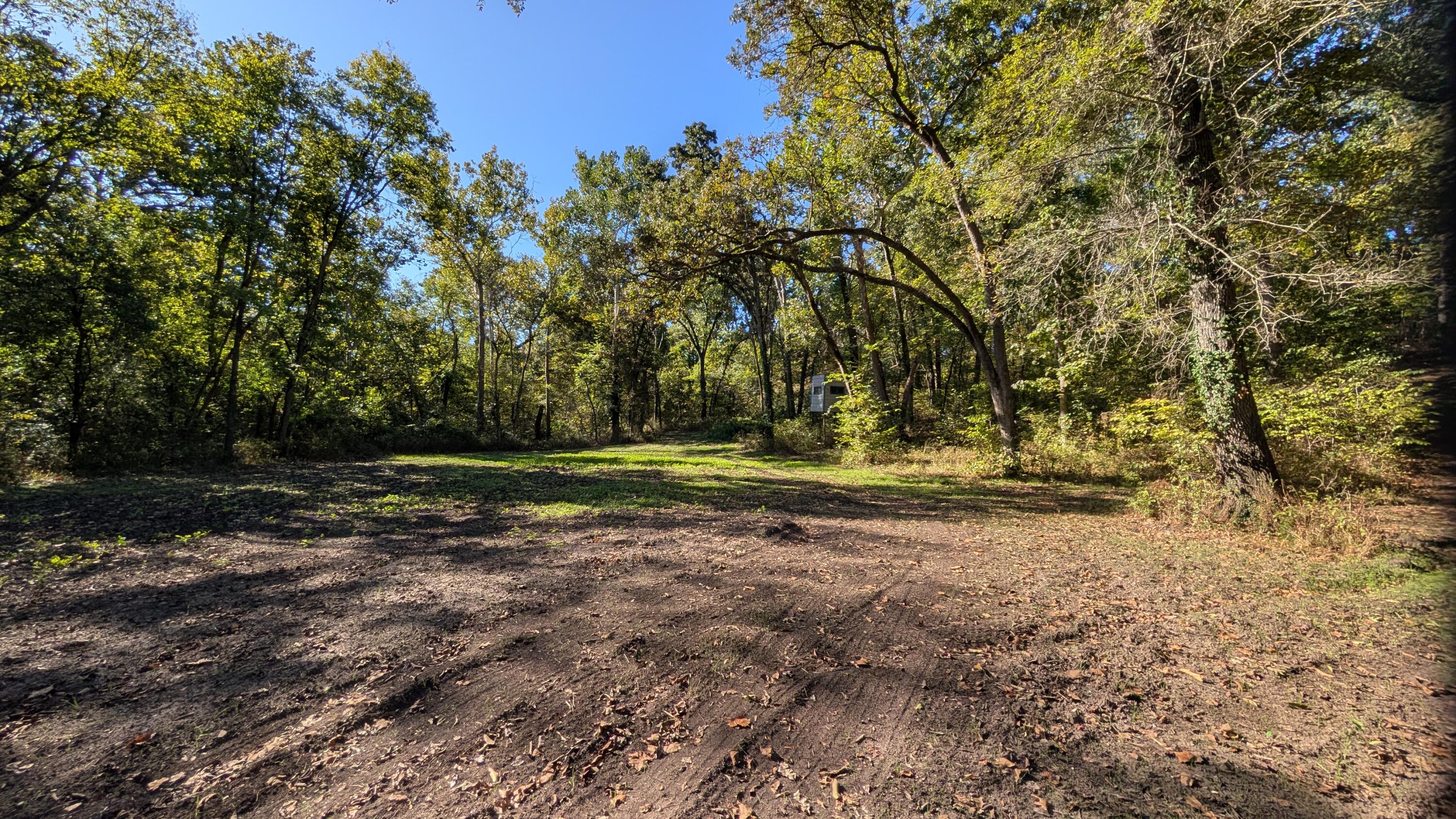 0 Southeast 731 Road Collins, MO 64738 - Photo 8 of 9 1000022412