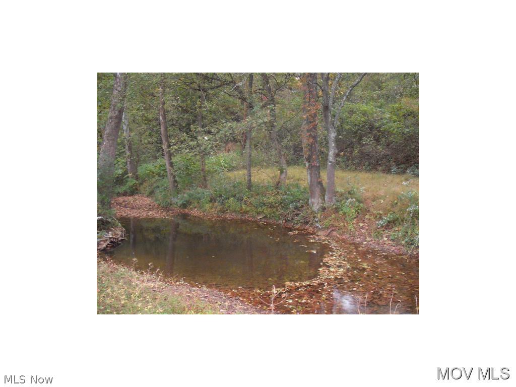 0 Toll Gate Road Pennsboro, WV 26415 - Photo 2 of 8