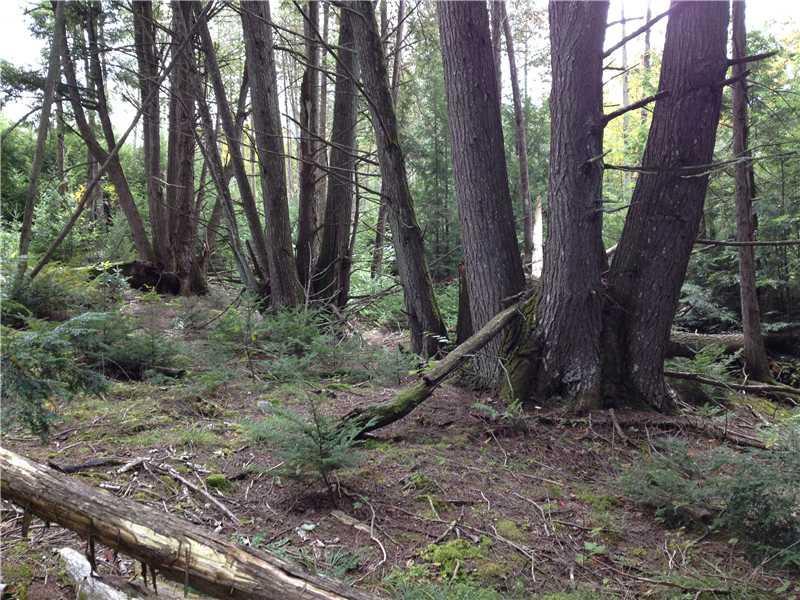 7 Kolm Road Garland, ME 04939 - Photo 5 of 9 Land/Lot. Representative of lots in...