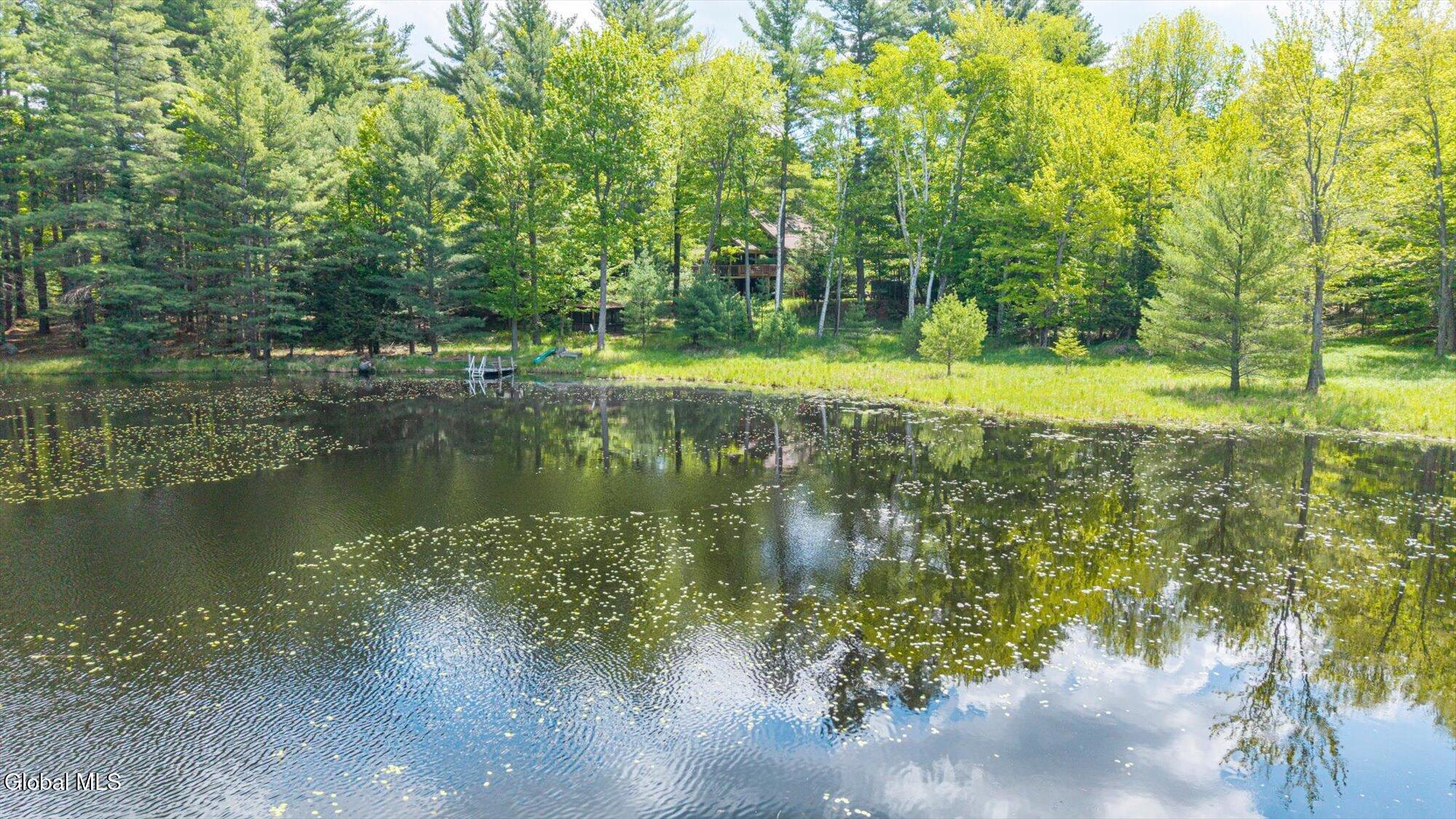 175 Antler Lake Road Johnsburg, NY 12886 - Photo 20 of 54 06-ADK-6